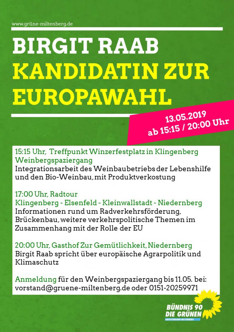 Birgit Raab, Europakandidatin spricht zu Europathemen