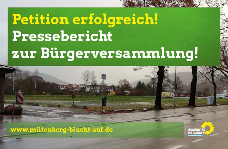 Öffentliche Vorstellung des Bauvorhabens an der Mainzer Straße