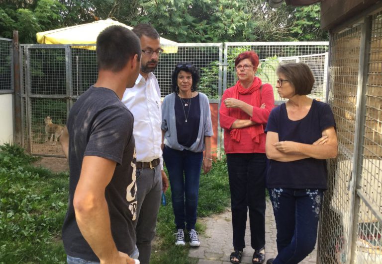 Grüne zu Besuch im Tierheim Miltenberg