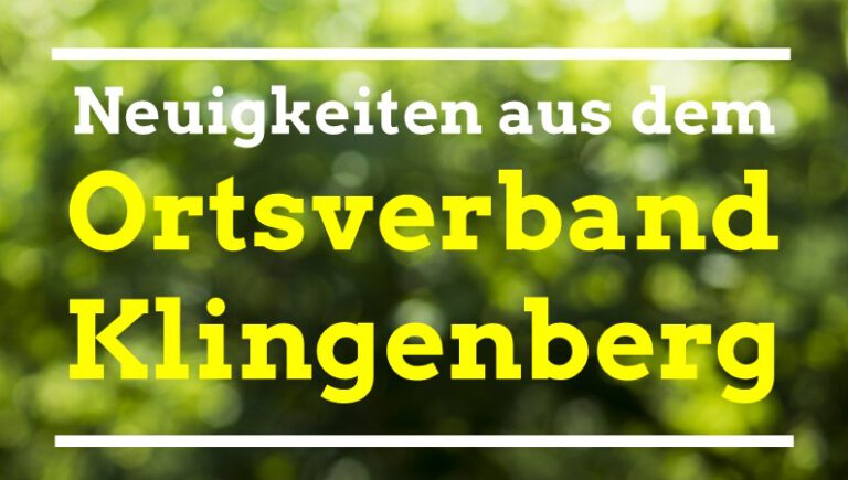 HAUSHALTSREDE GRÜNE KLINGENBERGER STADTRAT 08.04.2024