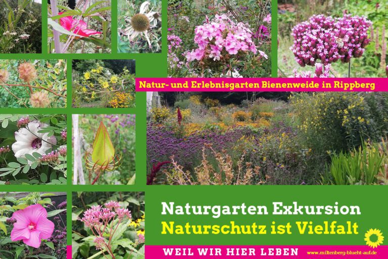 OV MIL: Ein Meer von Pflanzen, Blüten und Insekten – Überwältigende Artenvielfalt