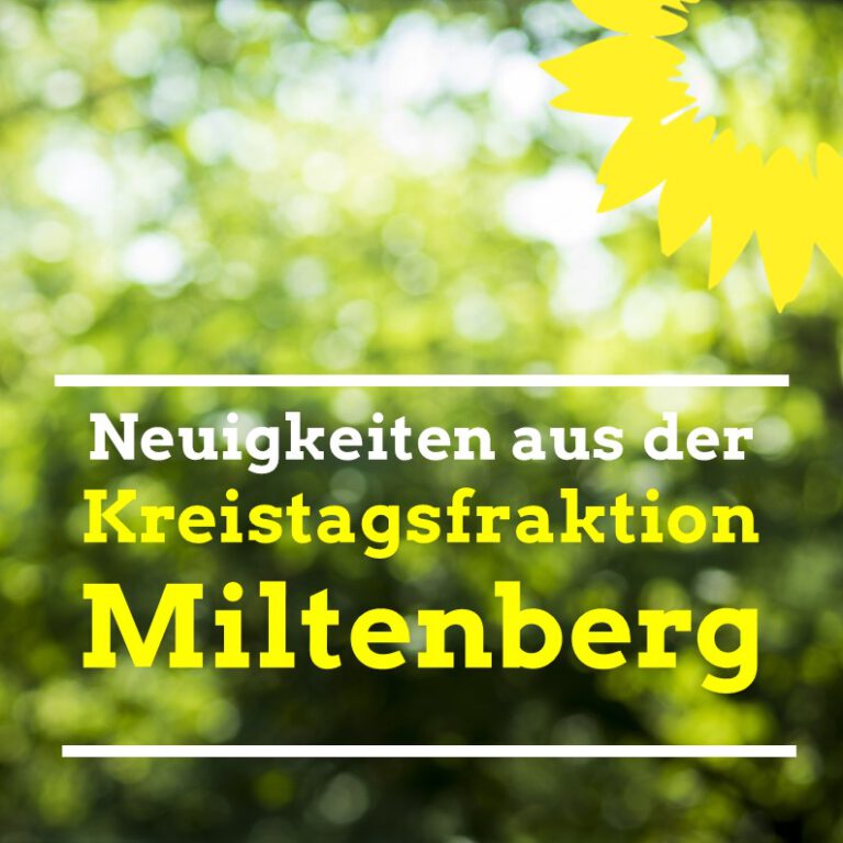 Rede zum Kreishaushalt 2021