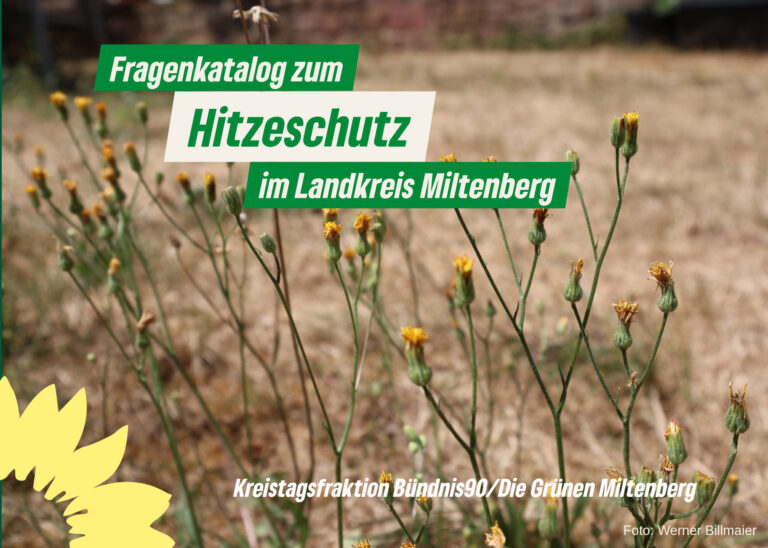 Anfrage der Kreisfraktion zum Hitzeschutz